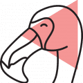 flamingo