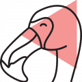 flamingo flamingo